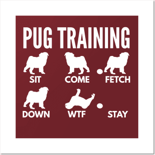 Pug Training Pug Dog Tricks Posters and Art